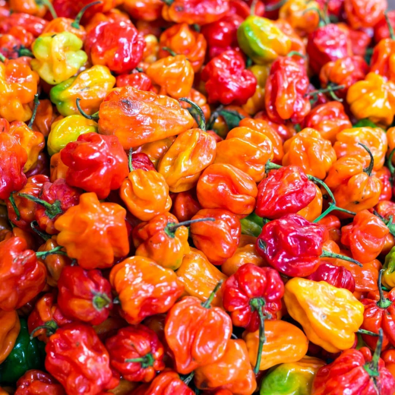 3-Piments forts antillais - 250g