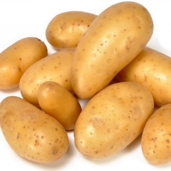 2-Pomme de terre FILET 5KG