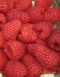 1-framboises (barquette 125g)