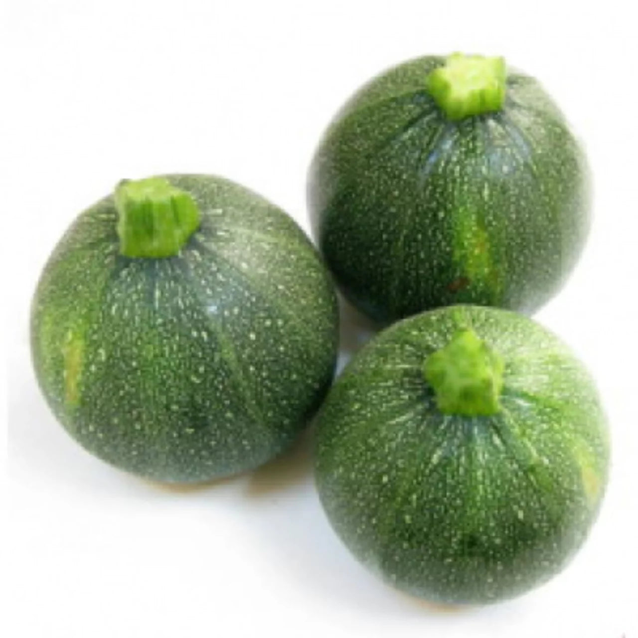 2- Courgette Ronde