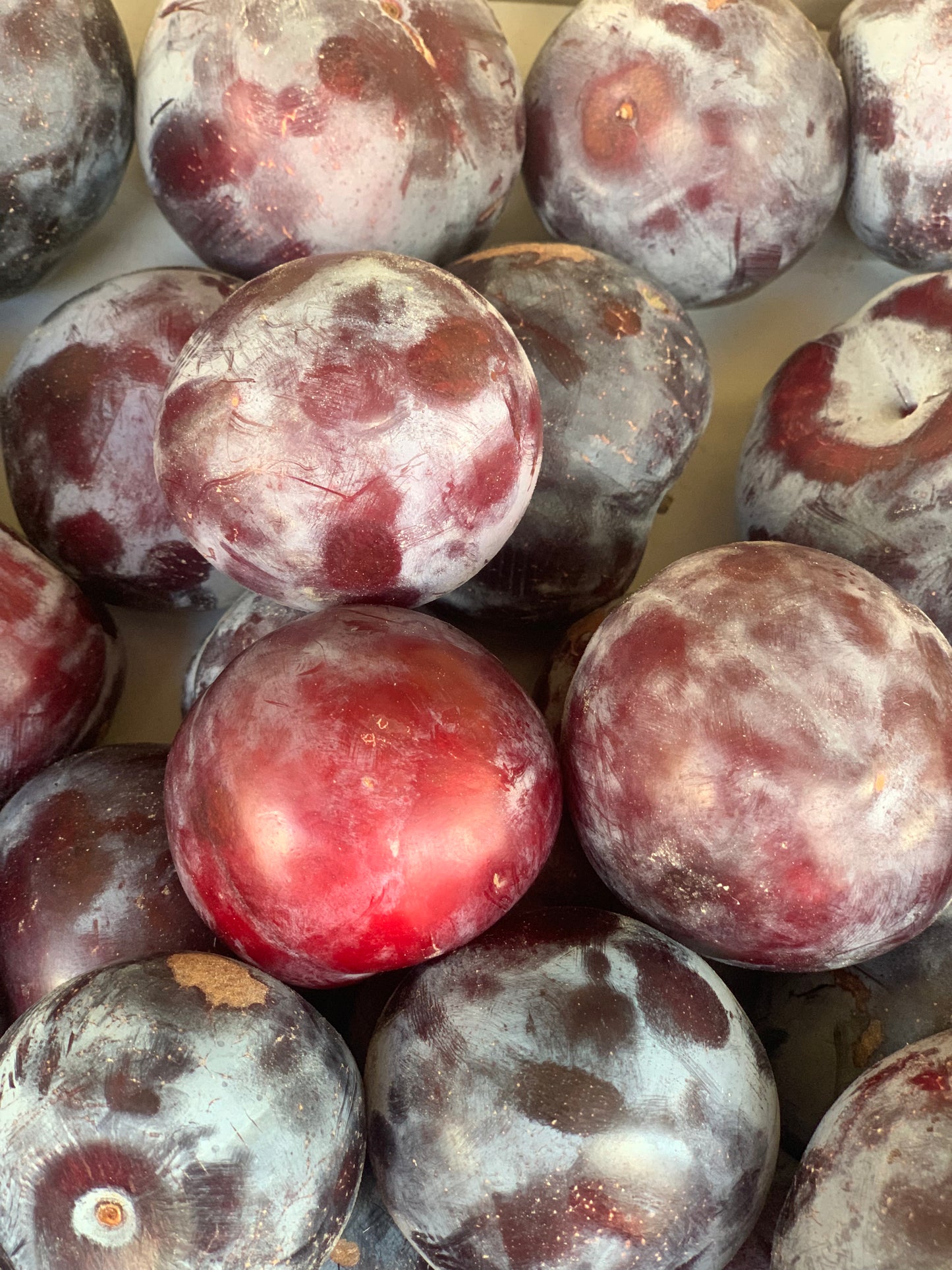 1-La prune rouge
