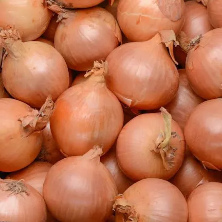 2-Oignons jaunes FILET 5KG