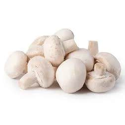 2-Champignon