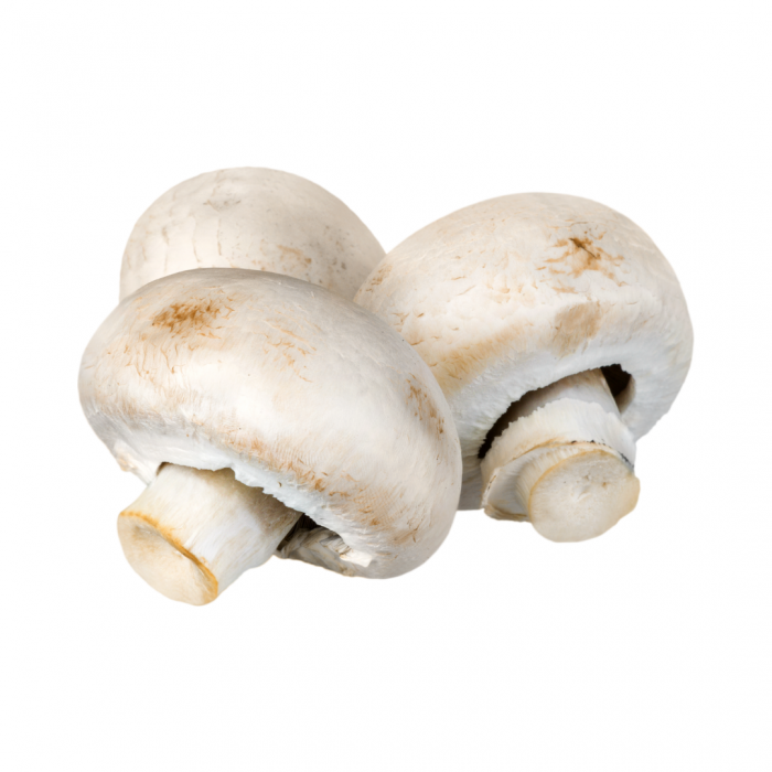 2-Champignon