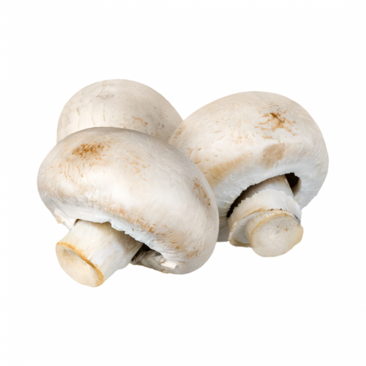 2-Champignon