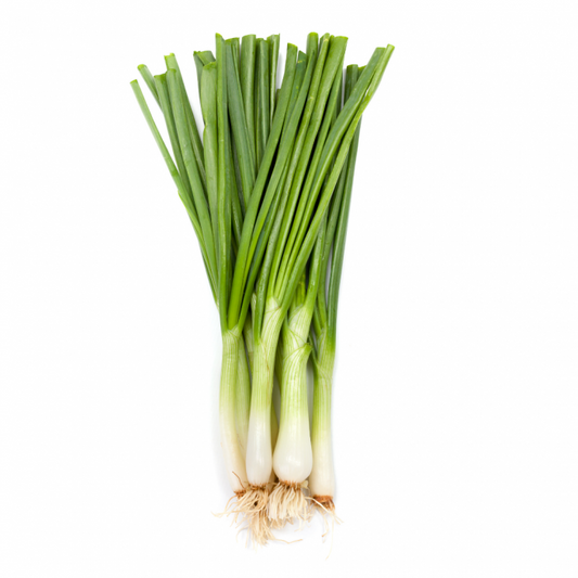2-Oignon vert