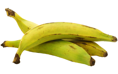 3-banane plantain verte