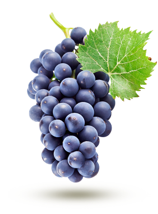 1-Raisin noir