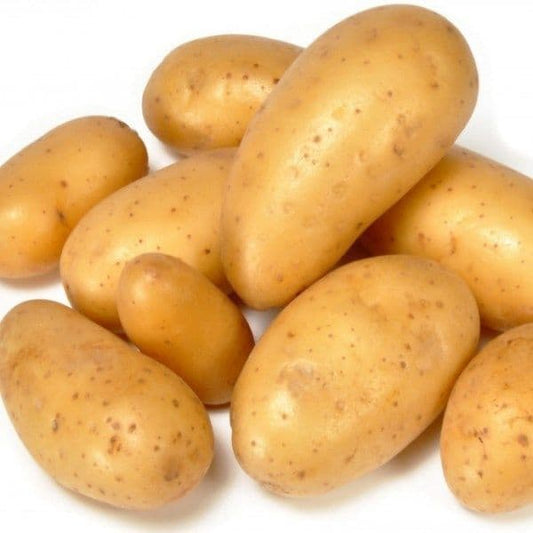 2-Pomme de terre FILET 5KG