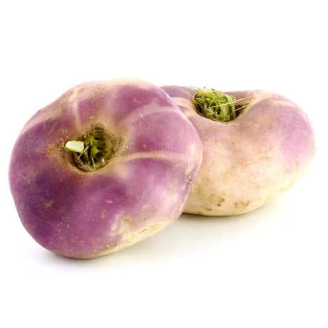 2-navet violet