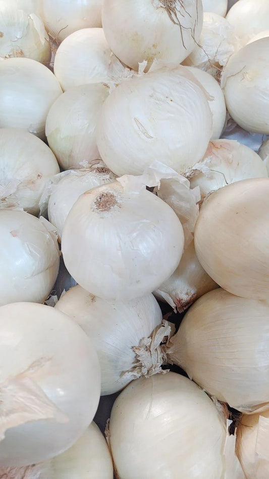 4-Oignon Blanc