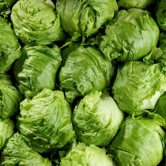4-Salade Iceberg