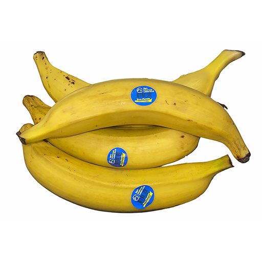 3-PLANTAIN COLOMBIE LATINA