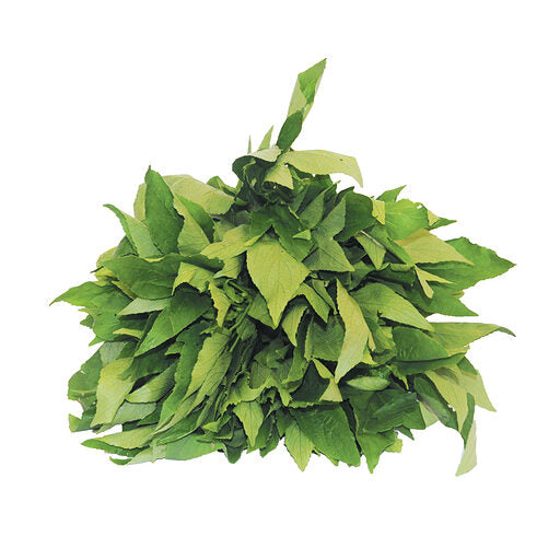 3-FEUILLE DE BISSAP FRAIS