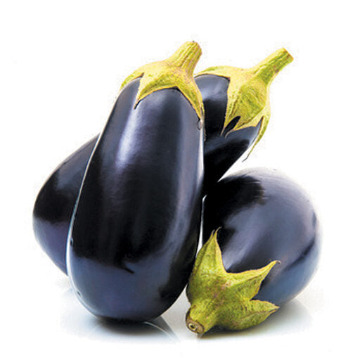 2-AUBERGINE VIOLETTE