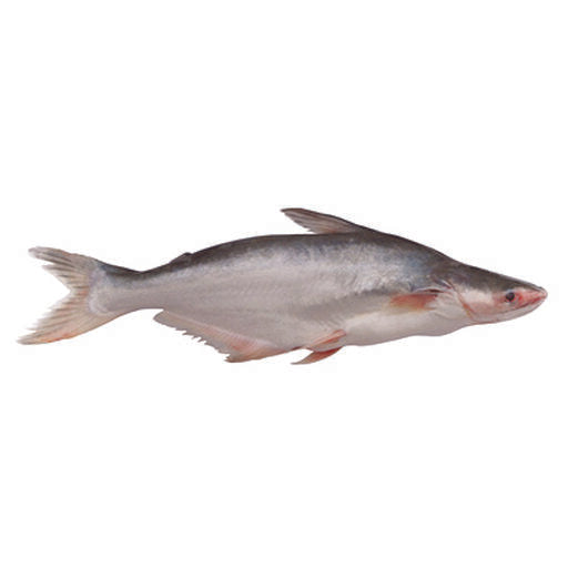7-MALANGUA (PANGA) ENTIER 500-800GR (SURGELE)