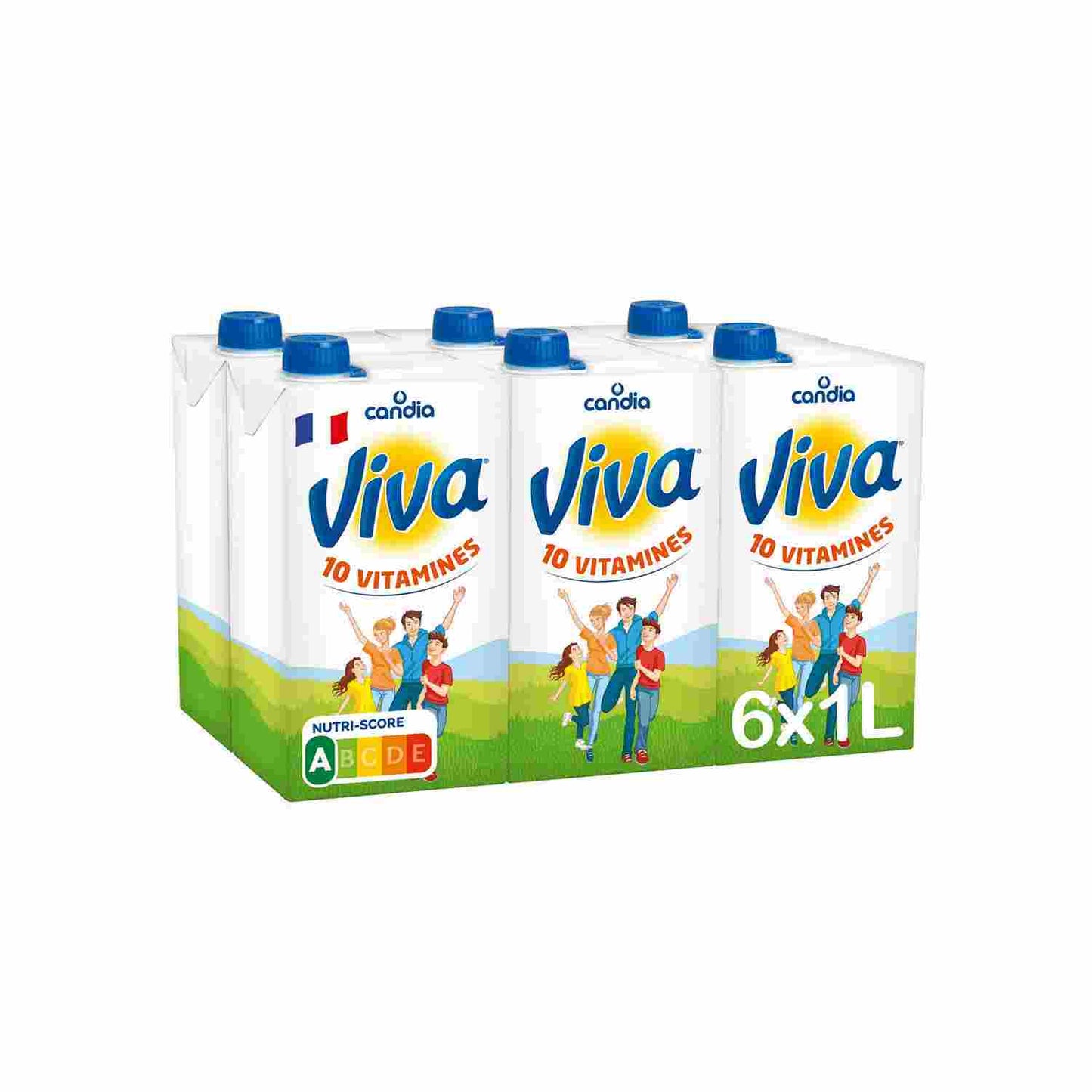 0-LAIT VIVA PACK 6 X 1L