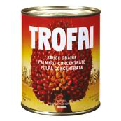 Sauce graine de palme TROFAI 800g