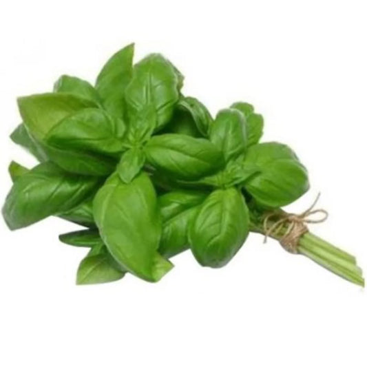 4-Basilic Frais 20g