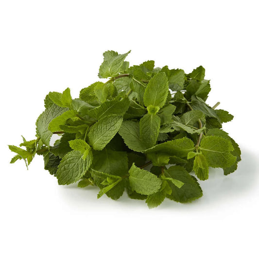 4-1 Menthe Fraiche - botte 40g