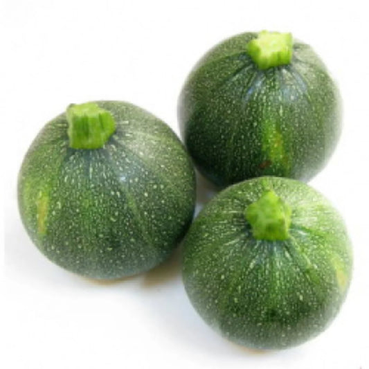 2- Courgette Ronde