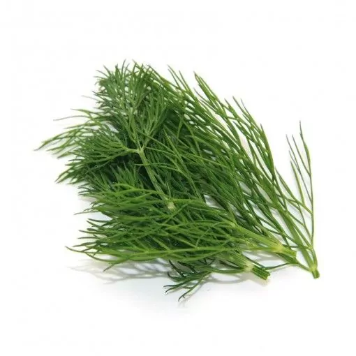 4-aneth bottes 25g